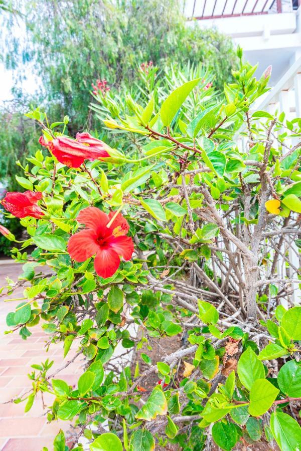 Appartement Sunny - Duplex 2beds 2 Baths Costa Teguise